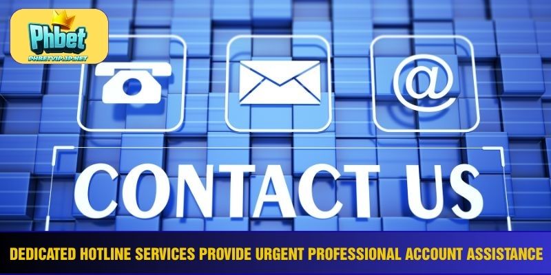 Dedicated hotline services provide urgent professional account assistance