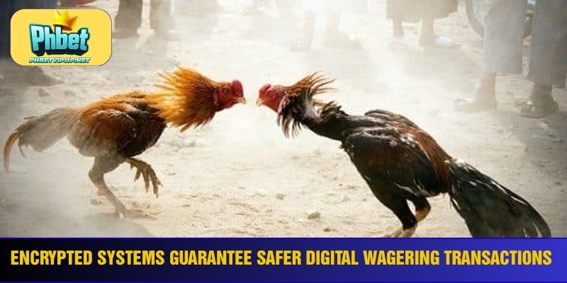 Encrypted systems guarantee safer digital wagering transactions