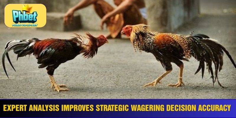 Expert analysis improves strategic wagering decision accuracy