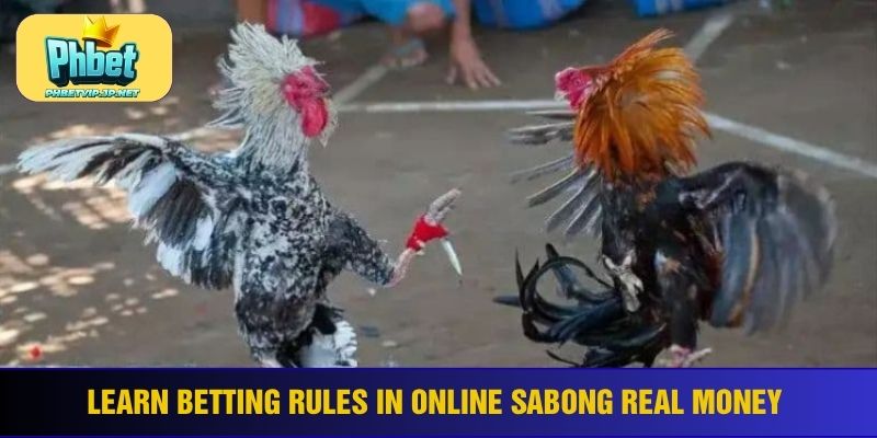 Learn betting rules in online sabong real money