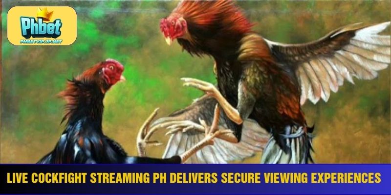 Live cockfight streaming PH delivers secure viewing experiences