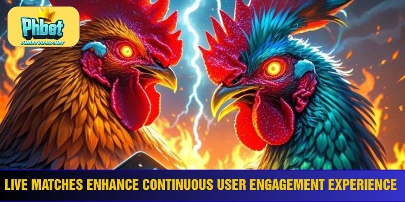 Live matches enhance continuous user engagement experience
