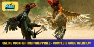 Online cockfighting Philippines