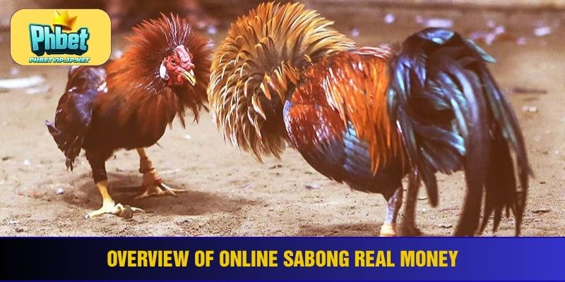 Overview of online sabong real money