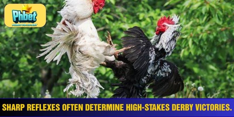 Sharp reflexes often determine high-stakes derby victories