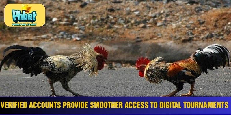 Verified accounts provide smoother access to digital tournaments
